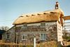gal/Water Reed, Chester/_thb_mini-Thatching Pic (9).jpg